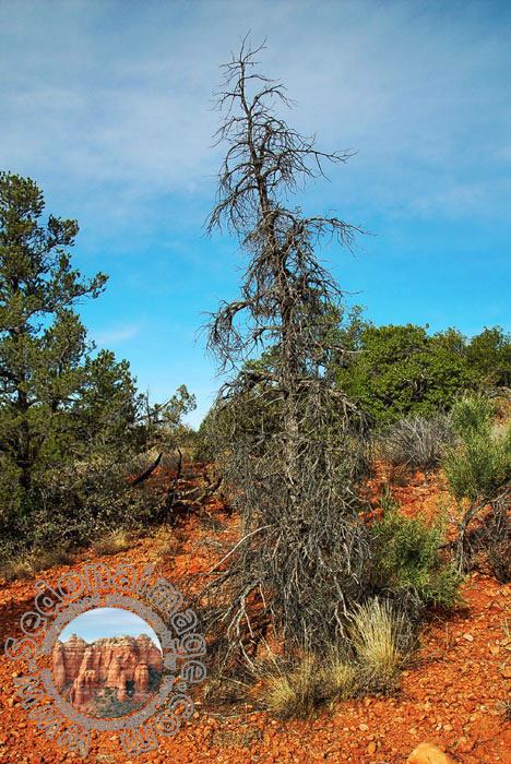 Sedona-Arizona