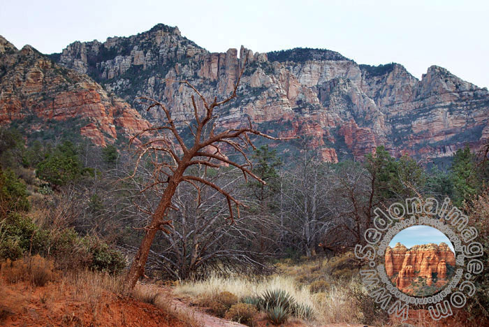 Sedona-Arizona