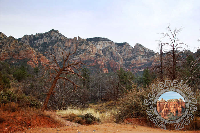 Sedona-Arizona