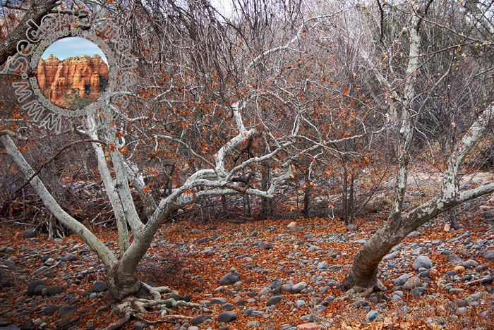 Sedona-Arizona