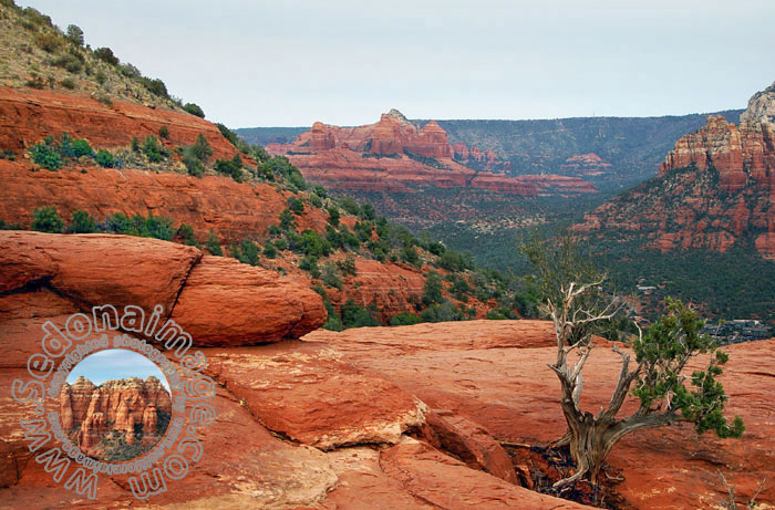 Sedona-Arizona