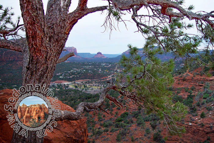 Sedona-Arizona