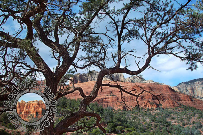 Sedona-Arizona