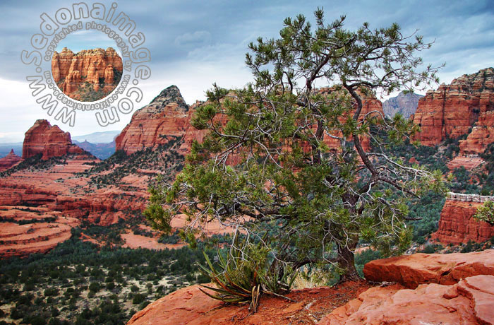 Sedona-Arizona