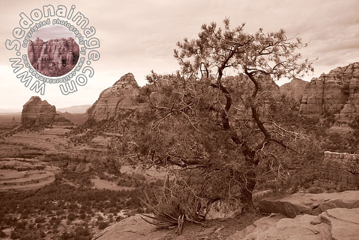 Sedona-Arizona