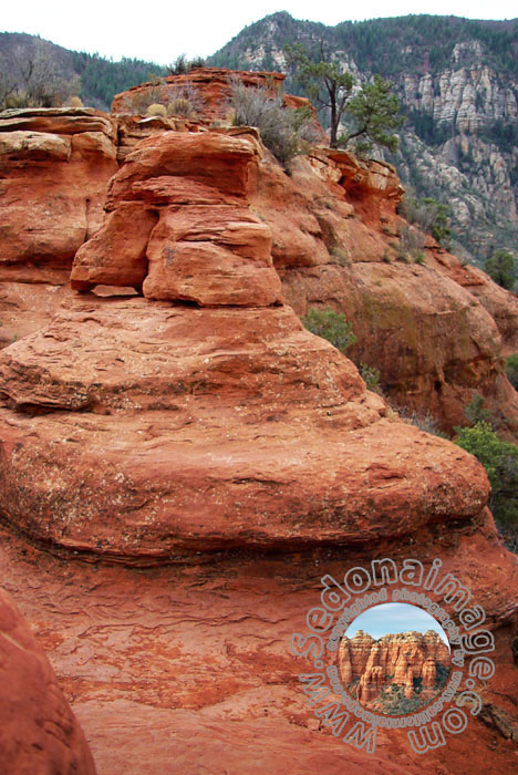 Sedona-Arizona
