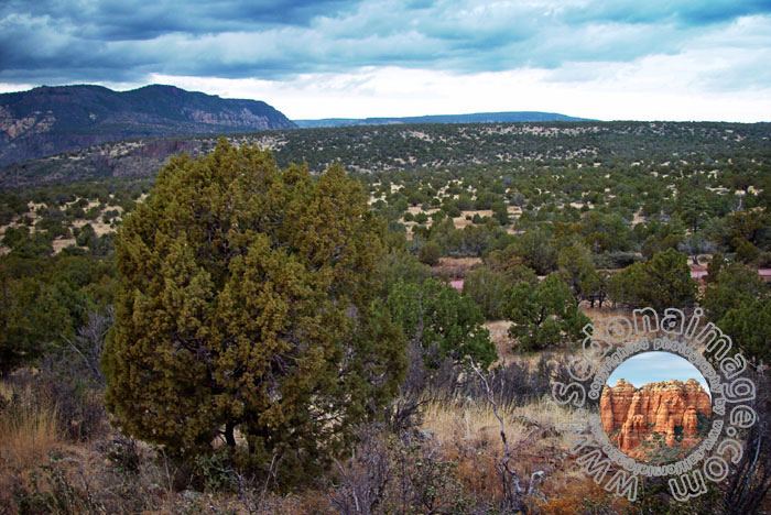 Sedona-Arizona