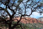 Sedona-Arizona