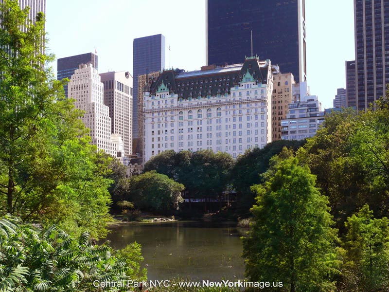 New-York-Central-Park-NYC-1