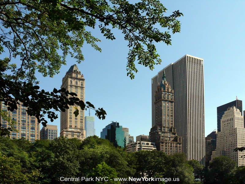 New-York-Central-Park-NYC-4