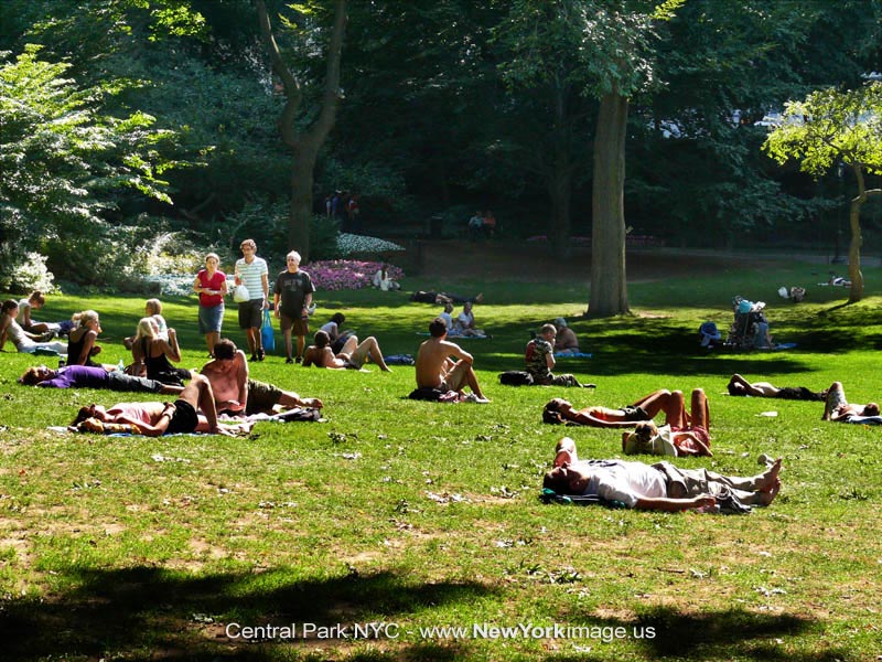 New-York-Central-Park-NYC-6