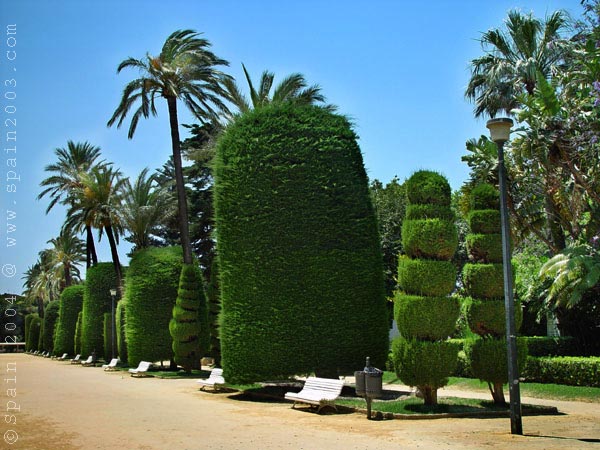 Cadiz
