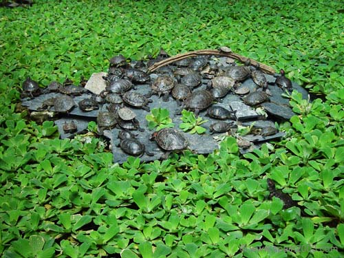 Spain 2003 1 Madrid (4)