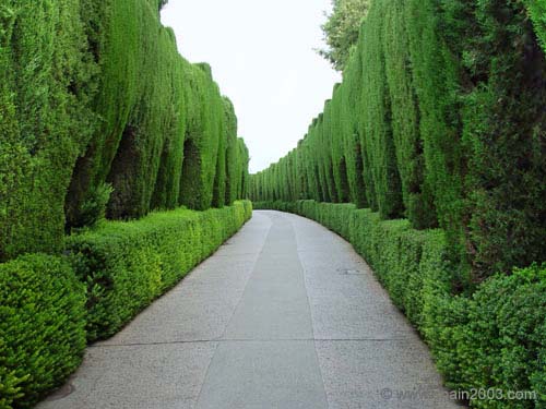 Spain 2003 6 Alhambra Palace Garden (2)