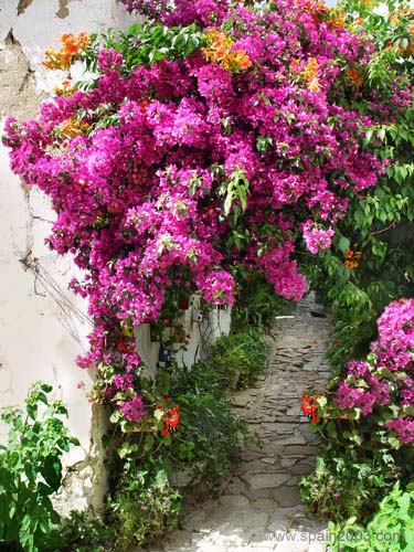 Spain 2003 Castellar de la Frontera Village