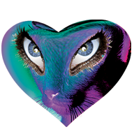 Wild Eyes